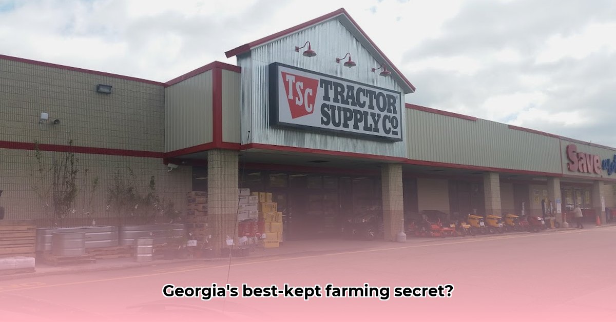 tractor-supply-bainbridge-georgia